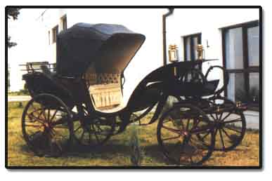 Carriage for your marriage - horsedrawn carriages for all special occasions based in Swindon