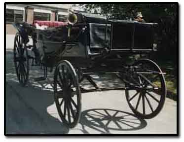 Carriage for your marriage - horsedrawn carriages for all special occasions based in Swindon